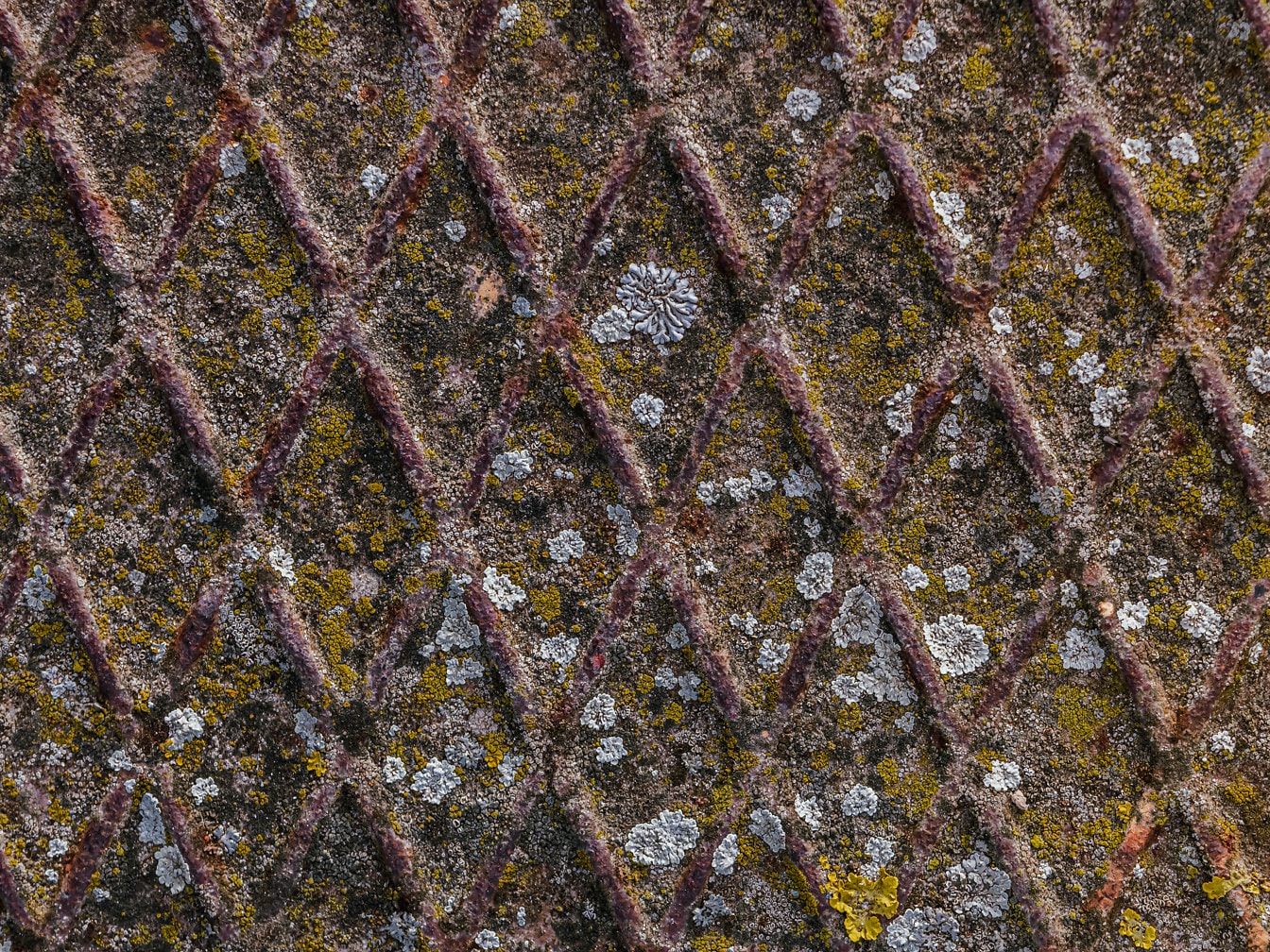 Primer plano de textura de hierro fundido oxidado musgoso