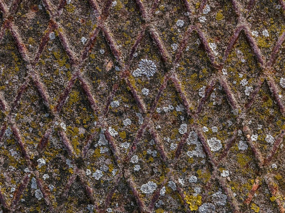 Mossy rusty cast iron texture close-up