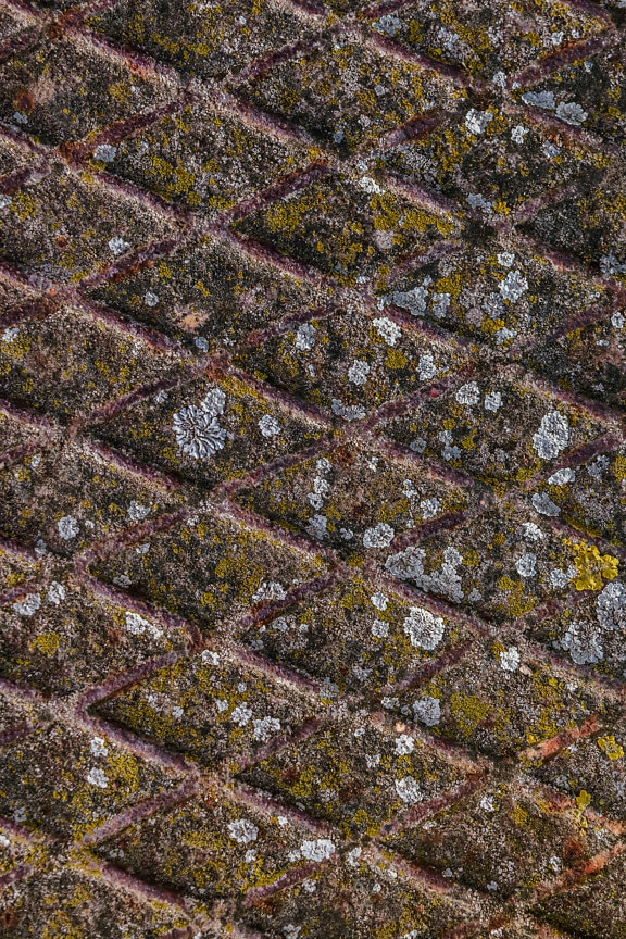 Mossy støpejern rustent metall panel tekstur nærbilde