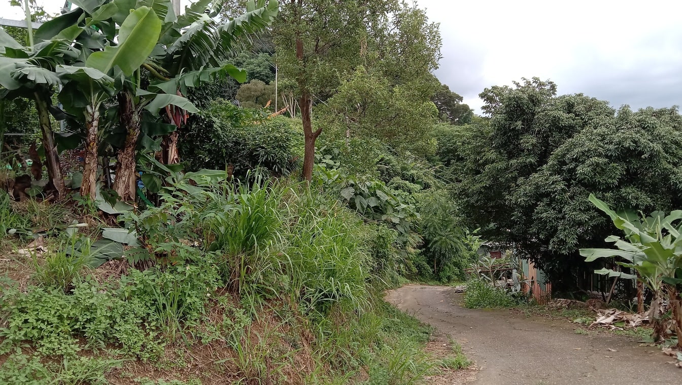 Route sale dans une zone rurale tropicale à flanc de colline