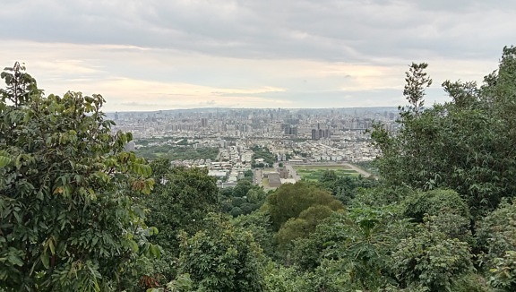 Панорамный вид на городской пейзаж с вершины холма