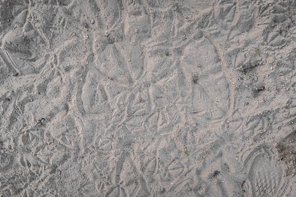 Dirty sand close-up texture