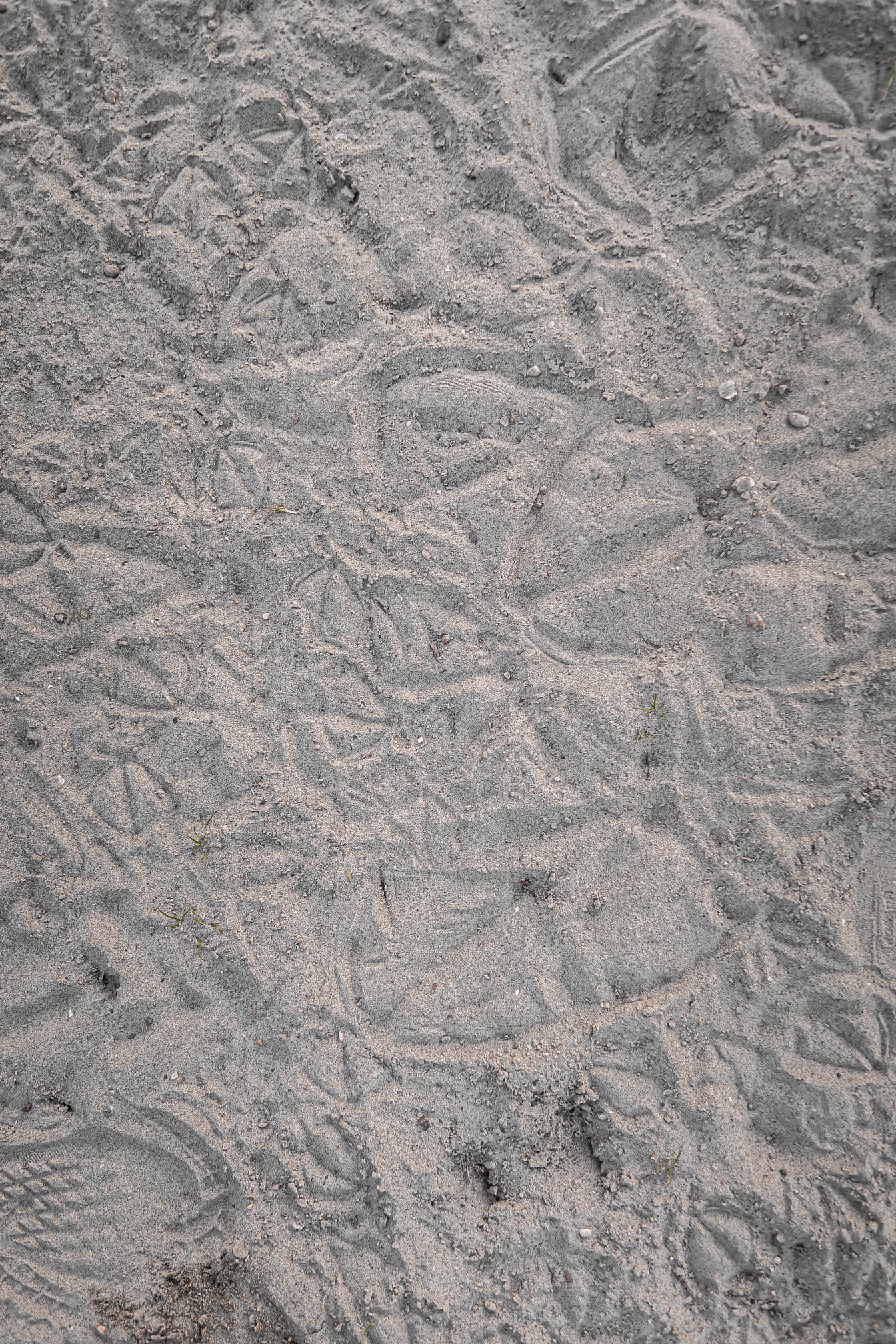 Текстура песка со следами птиц