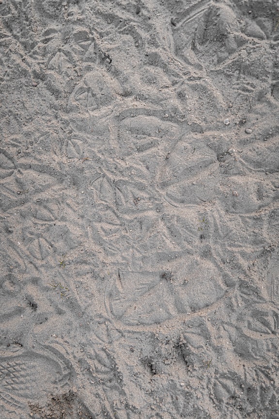 Sand with birds footprints texture