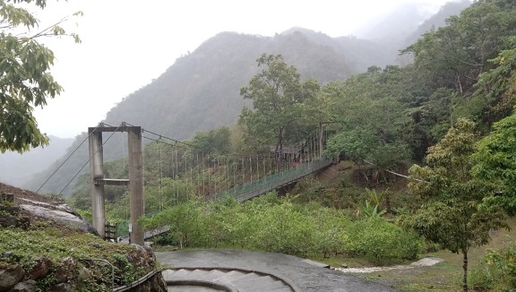 ponte pênsil, Taiwan, Parque Nacional, ecologia, floresta, rural, estrada, caminho