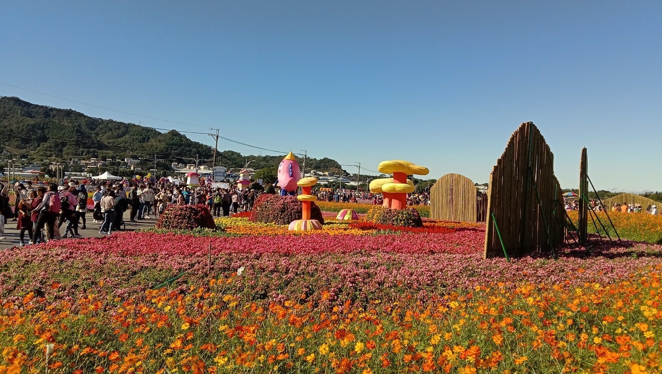 Atrakcja turystyczna ogrodu kwiatowego na wiejskim festiwalu ekoturystycznym