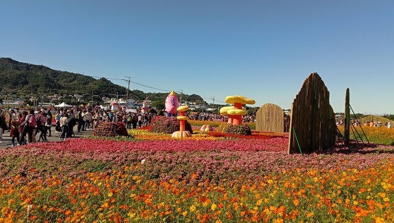 Flower garden tourist attraction on countryside ecotourism festival