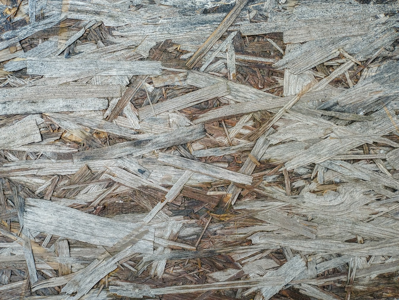 Površina iverice od mokrog drvenog materijala izbliza