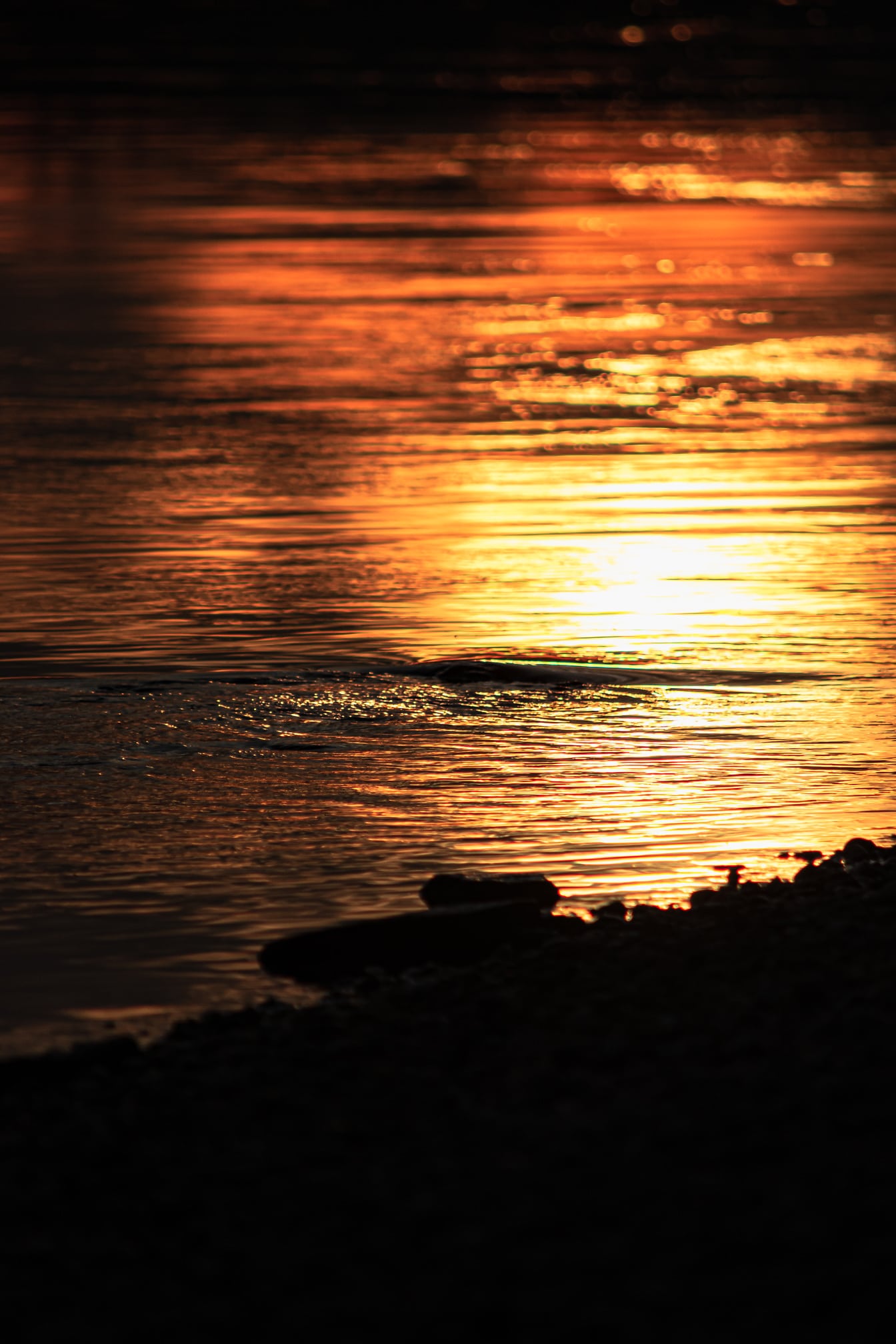 Vodní vlnka na horizontu vodní hladiny při oranžově žlutém východu slunce