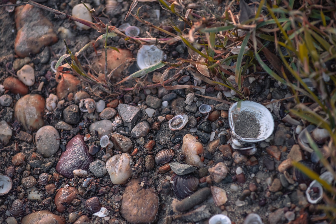 地面上脏沙子中的湿鹅卵石特写
