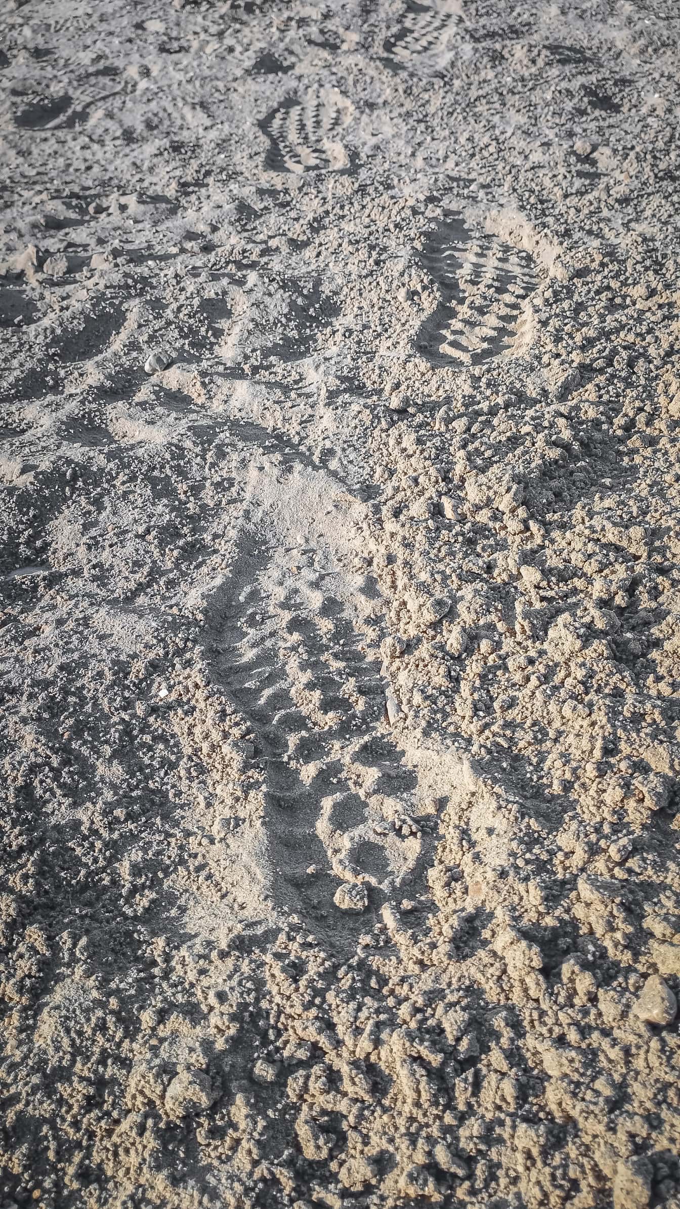 Közeli lábnyomok száraz homokban