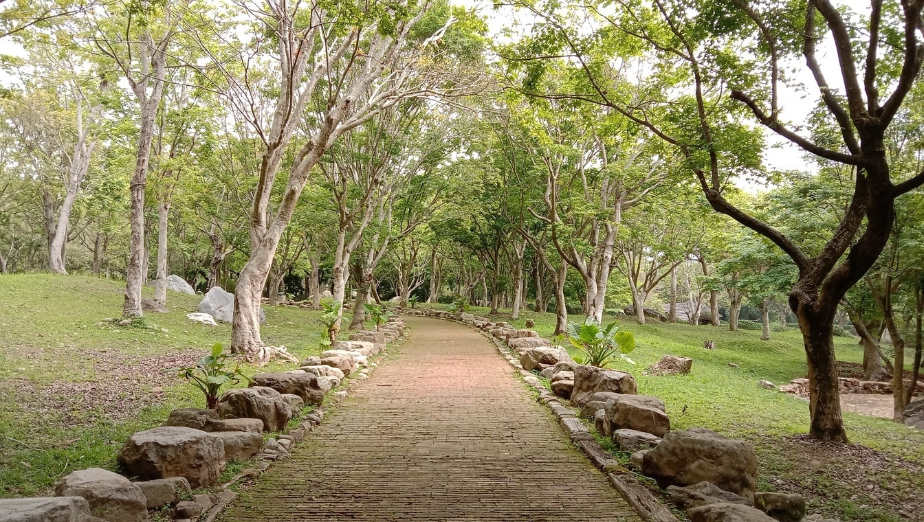 Chodnik w ogrodzie botanicznym na Tajwanie