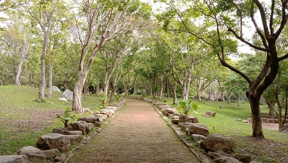 Pavement walkway at botanical garden in Taiwan