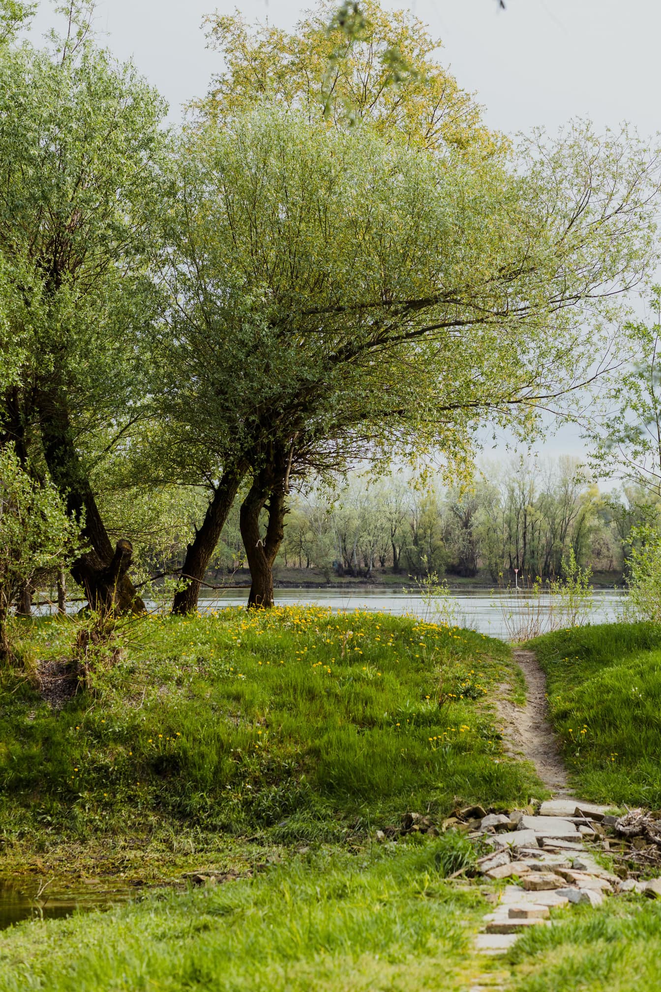 Prechod cez chodník na brehu rieky v jarnom období