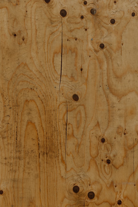 Close-up of yellowish brown pine plank with knots