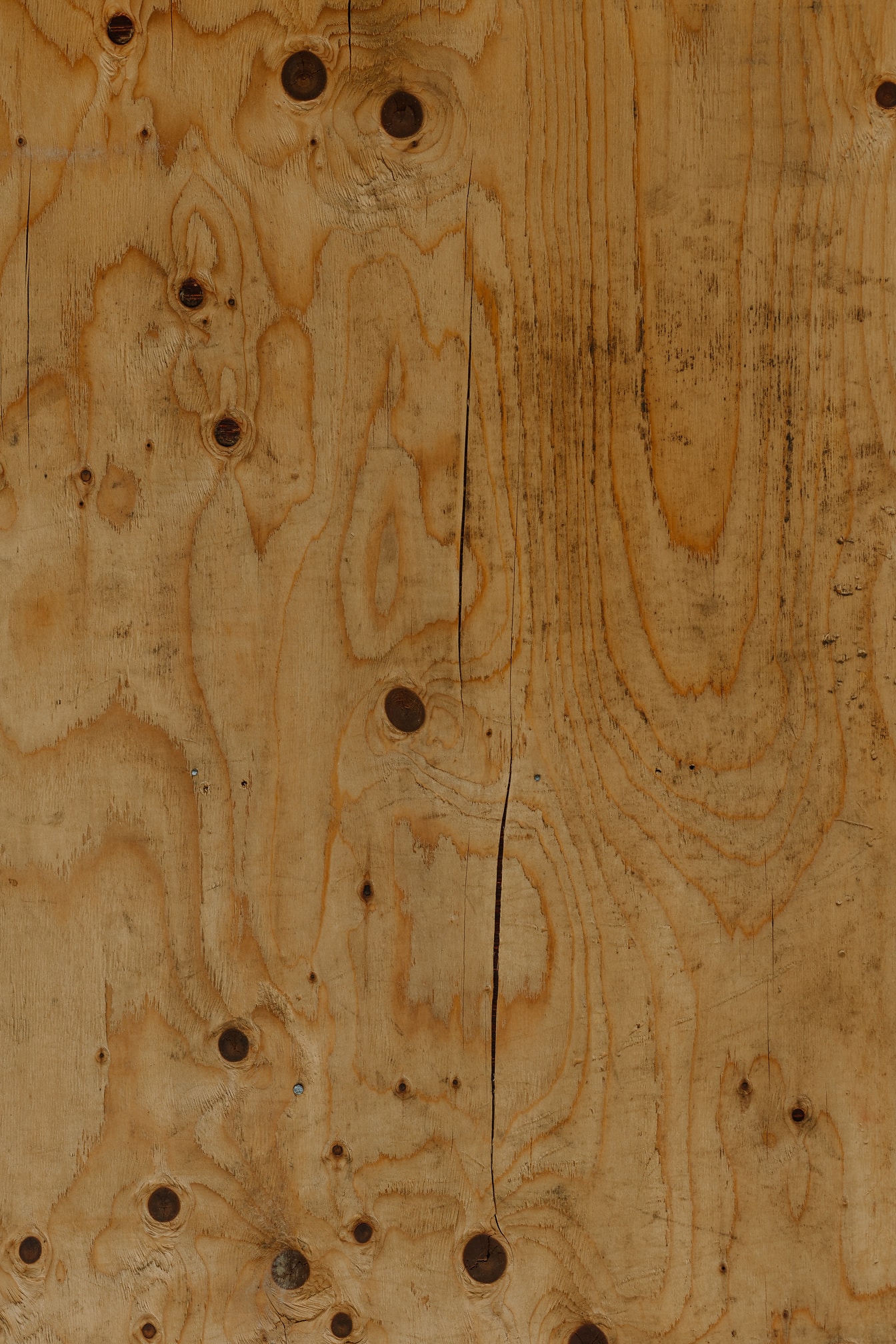 Texture du bois de feuillus avec noeud