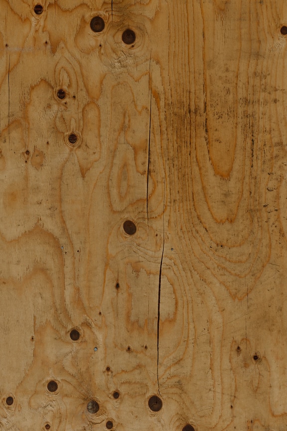 Texture of hardwood timber with knot