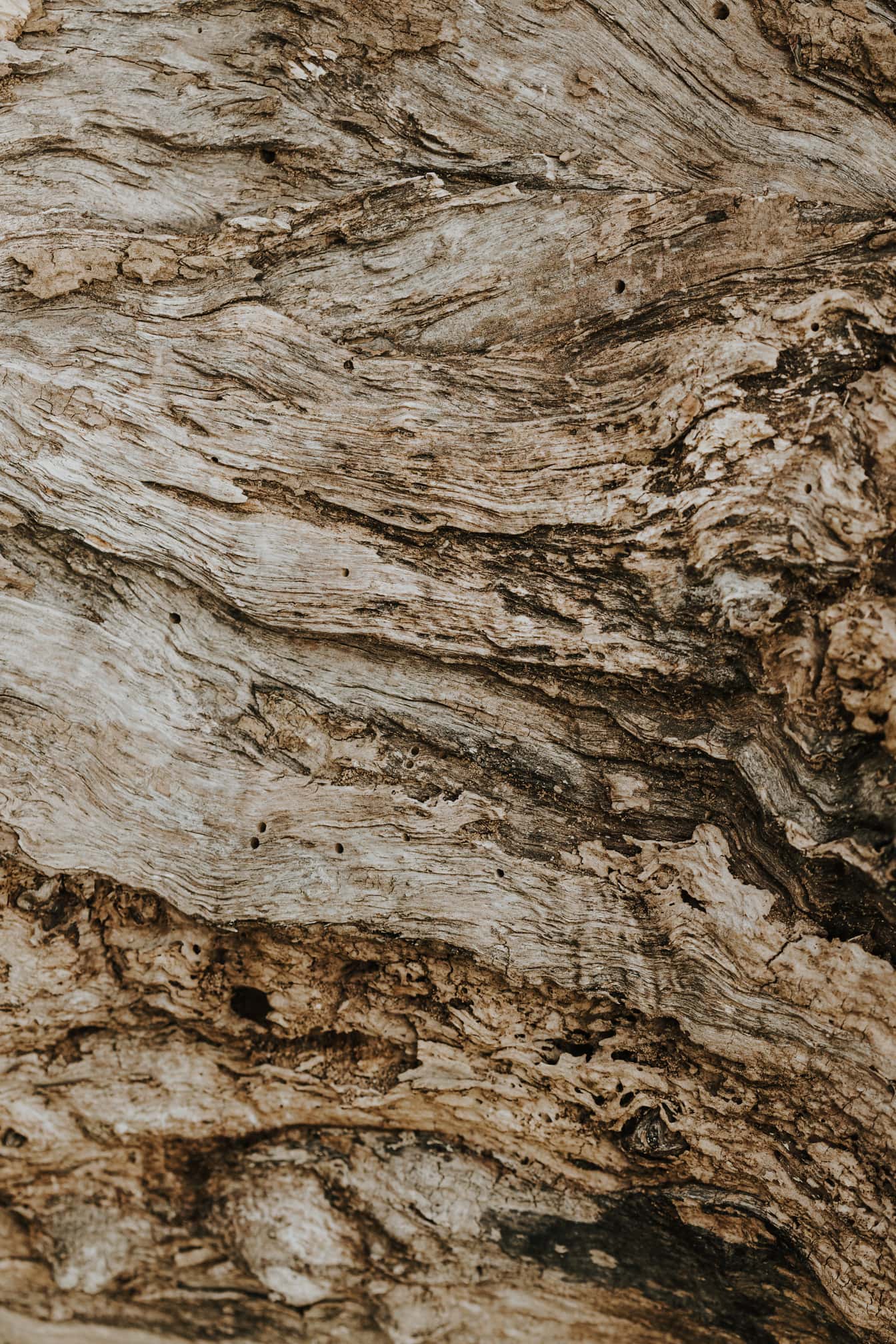 Vanhan vaaleanruskean puupuun pintakuvio
