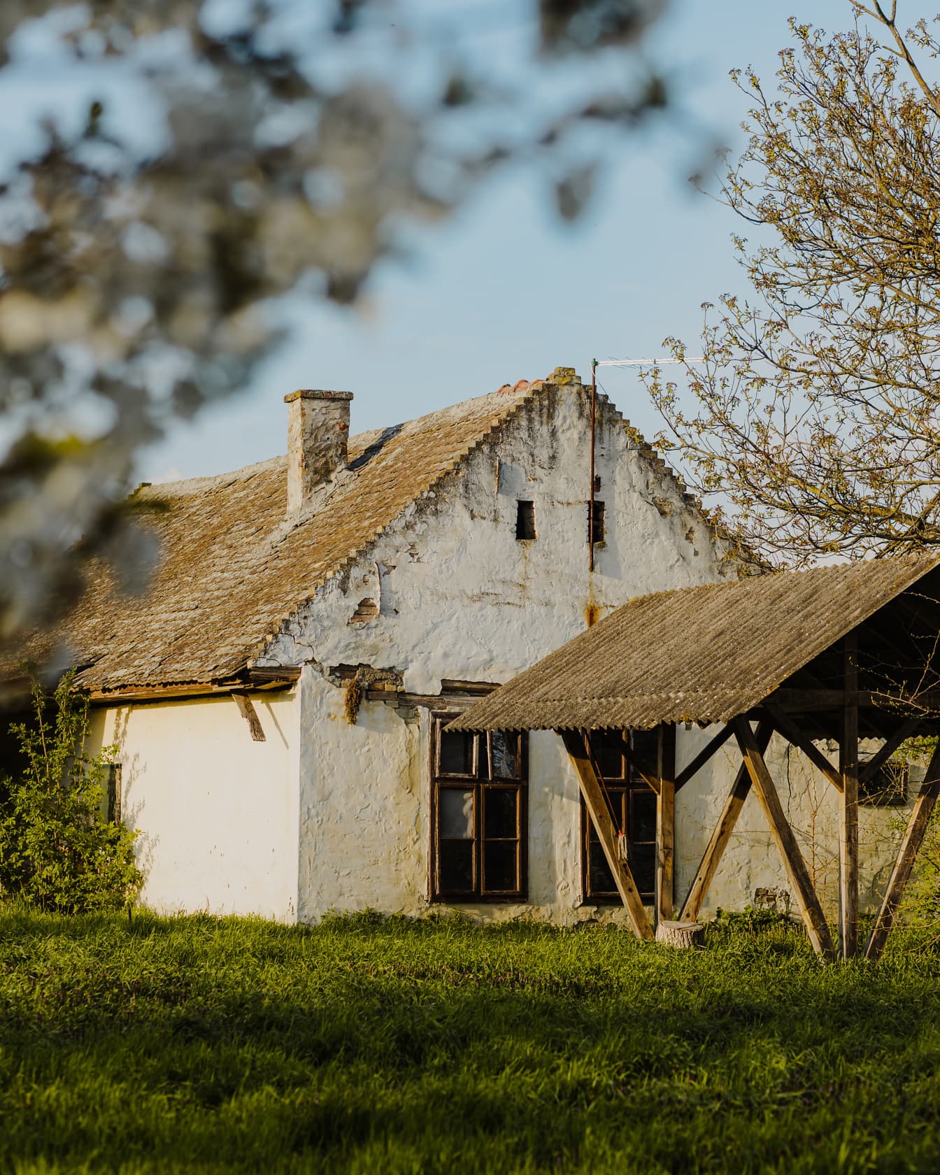 Antigua casa de campo del pueblo con cobertizo en el patio trasero cubierto de hierba