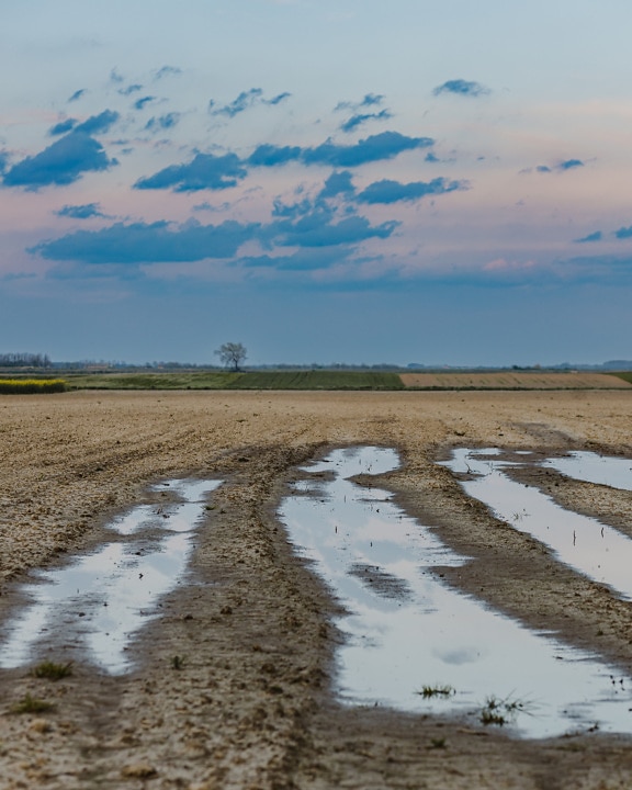 Floodplain agricultural flat field