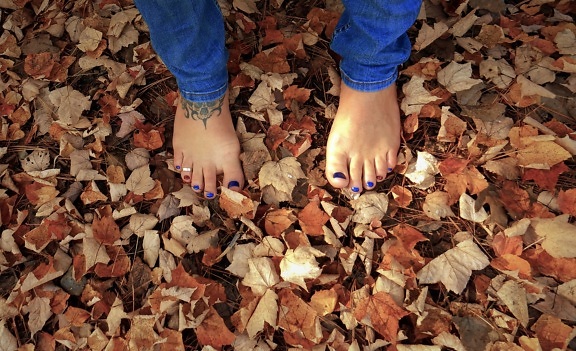 pieds, pieds nus, automne, feuilles, vernis à ongle, jambe, peau, corps