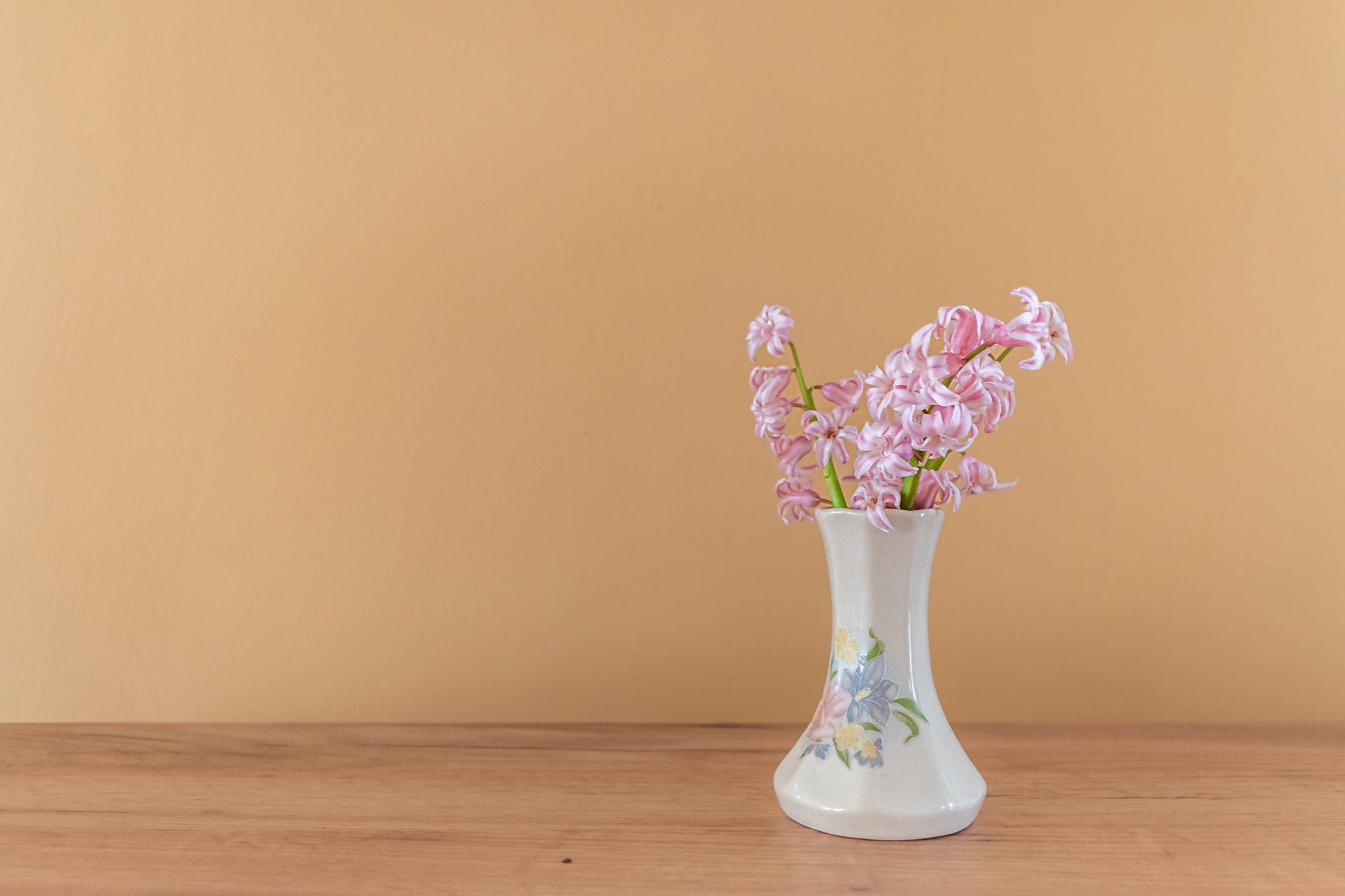 Pink hyacinth in white ceramic vase