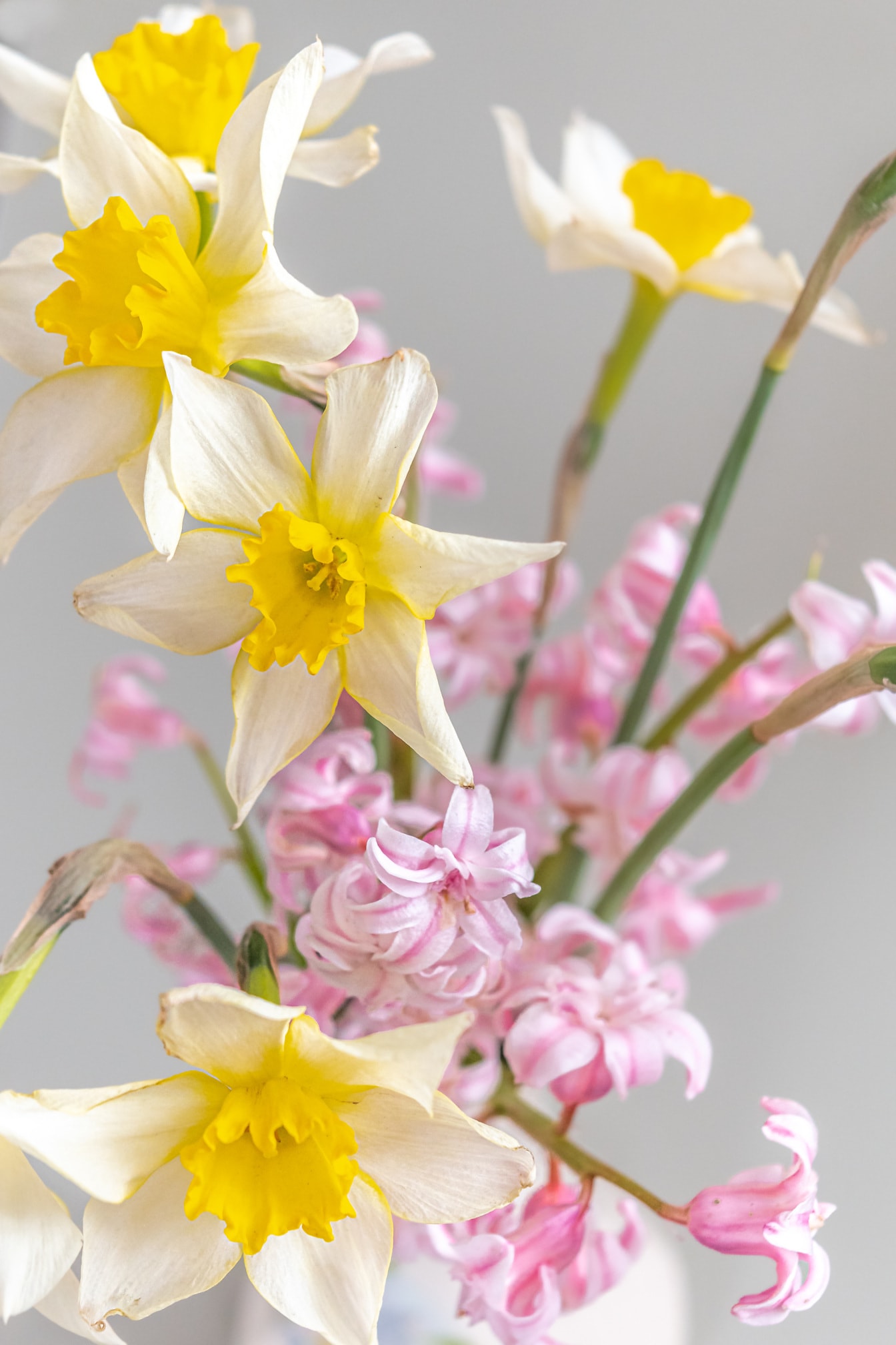 narcisă galbenă, roz, zambila, până aproape, vaza, floare, buchet, decor