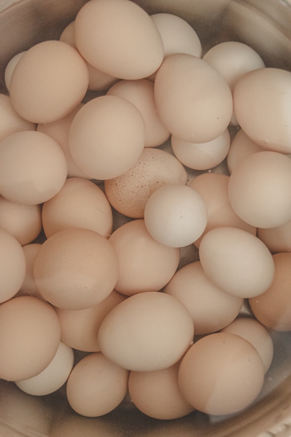 许多有机鸡蛋在锅里烹饪特写