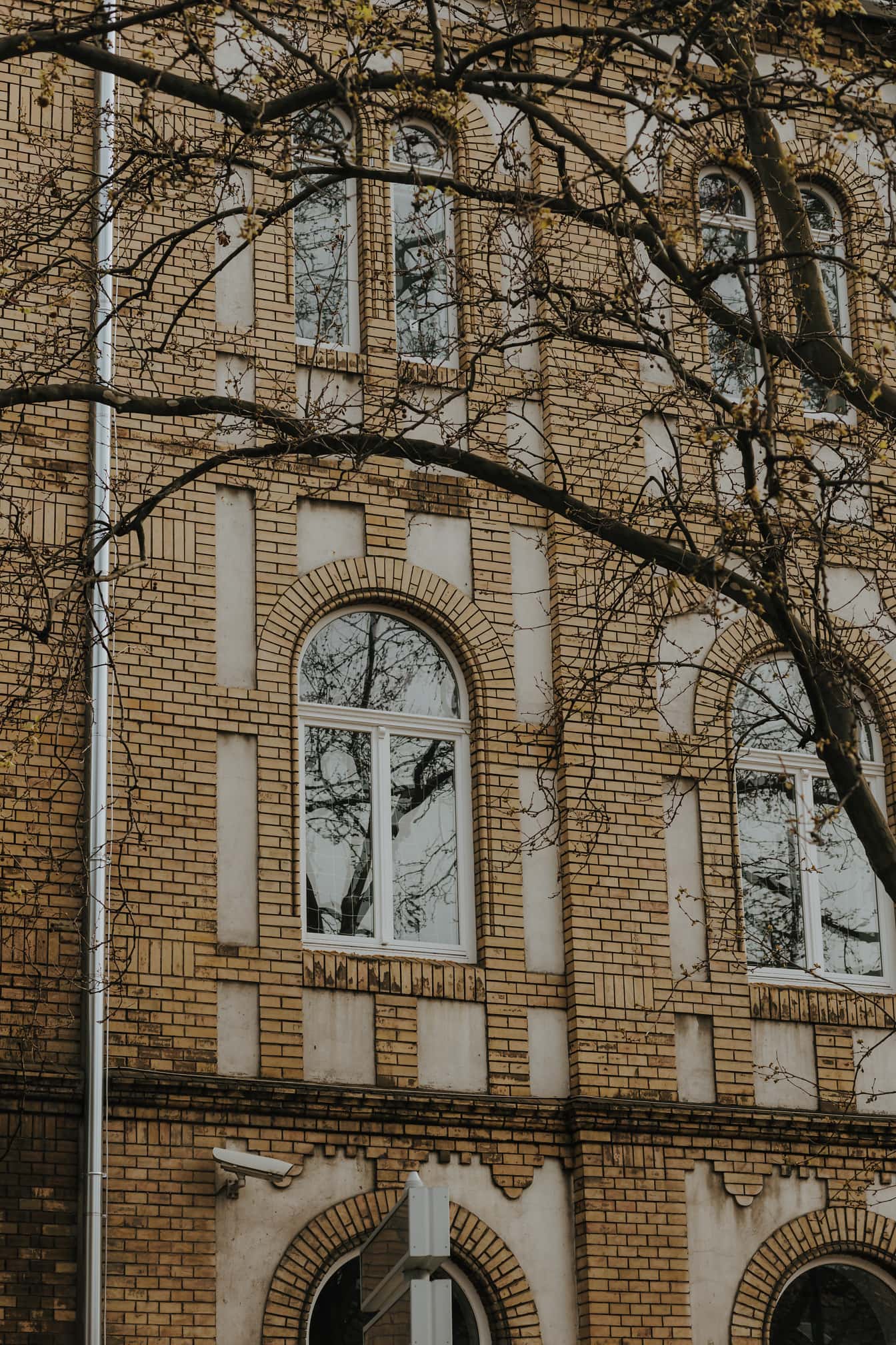 Mặt tiền trường đại học cũ với vòm gạch và cửa sổ trắng