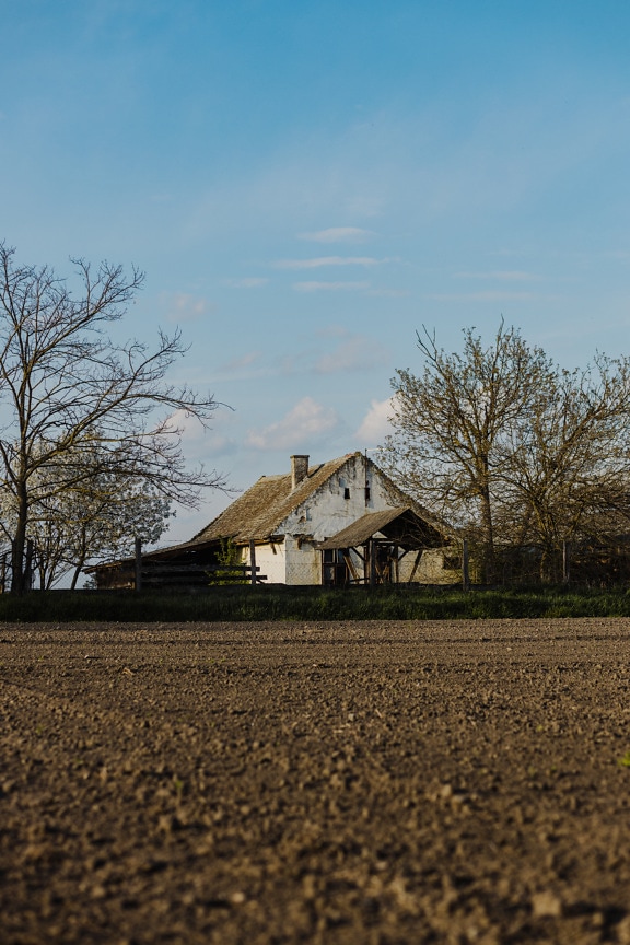 Old decay farmhouse with plan agricultural flat field