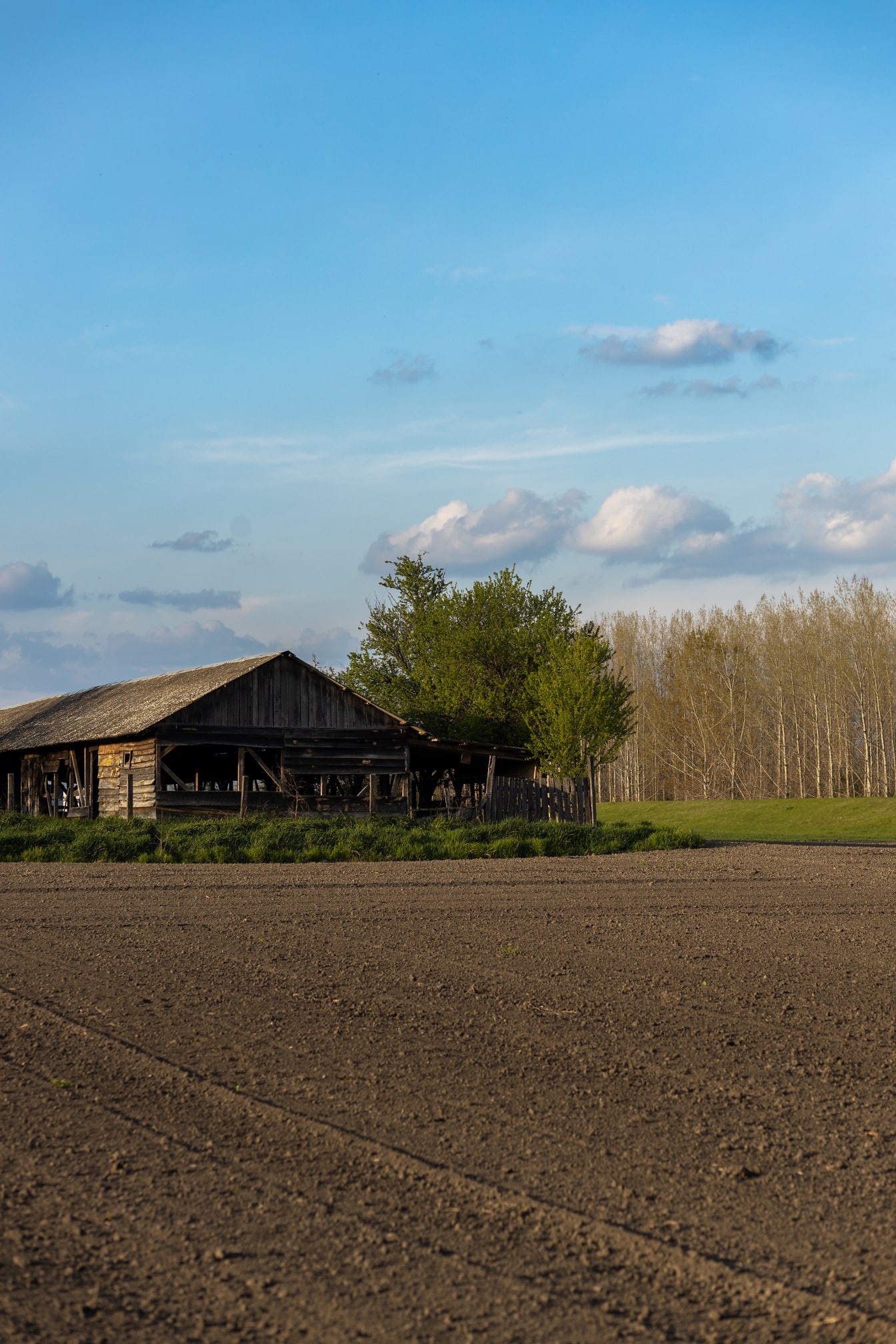 Απλό γεωργικό επίπεδο χωράφι σε ξύλινο παλιό ράντσο