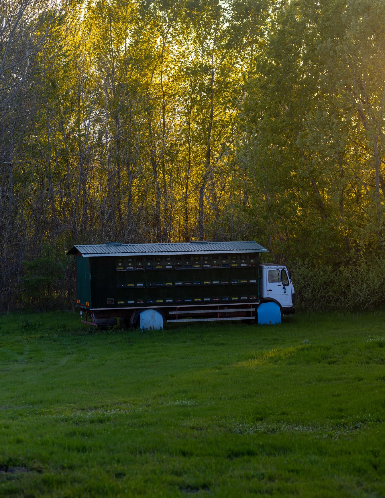Caminhão de colmeia estacionado em prado gramado
