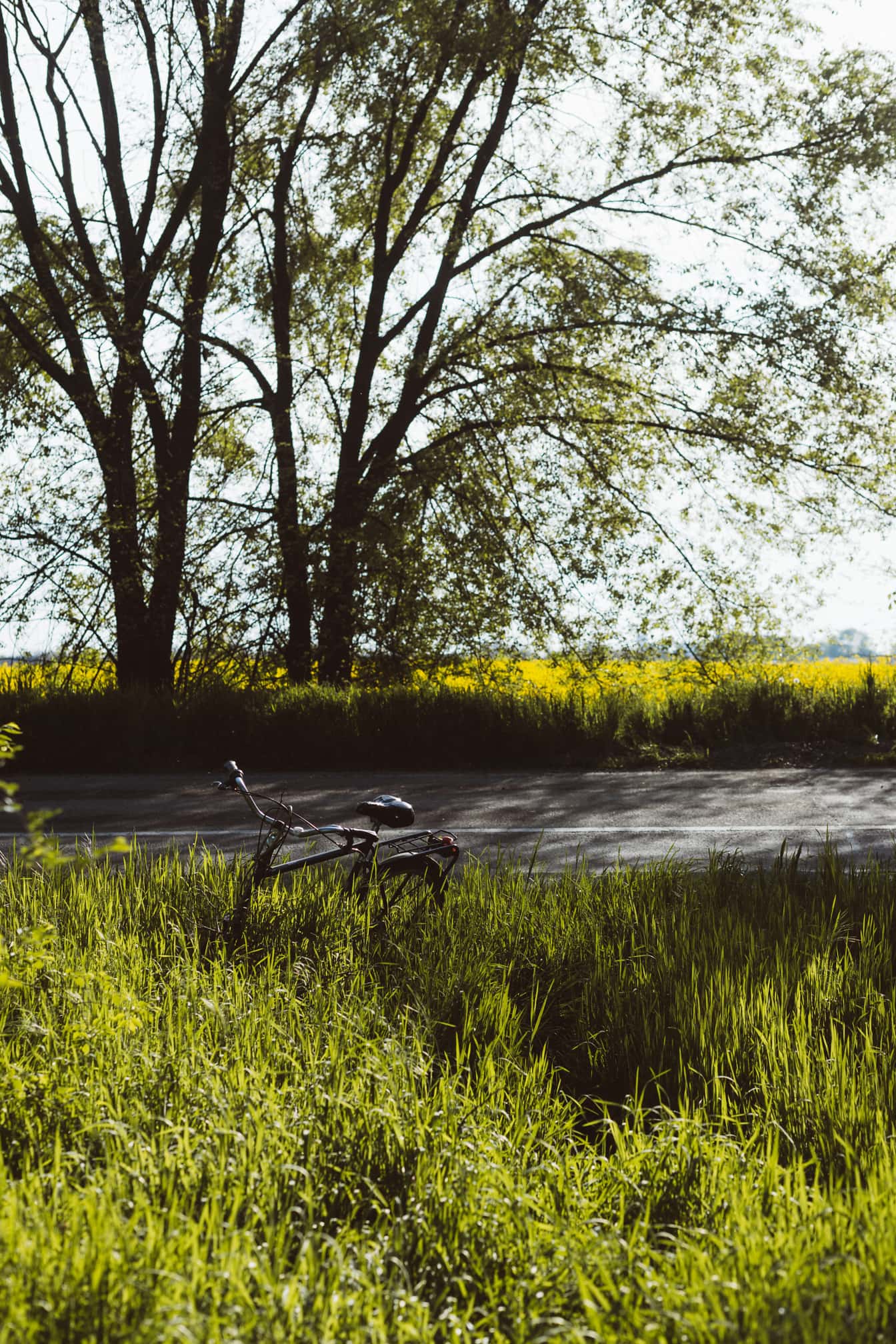 Sepeda klasik hitam di rumput tinggi di tepi jalan aspal