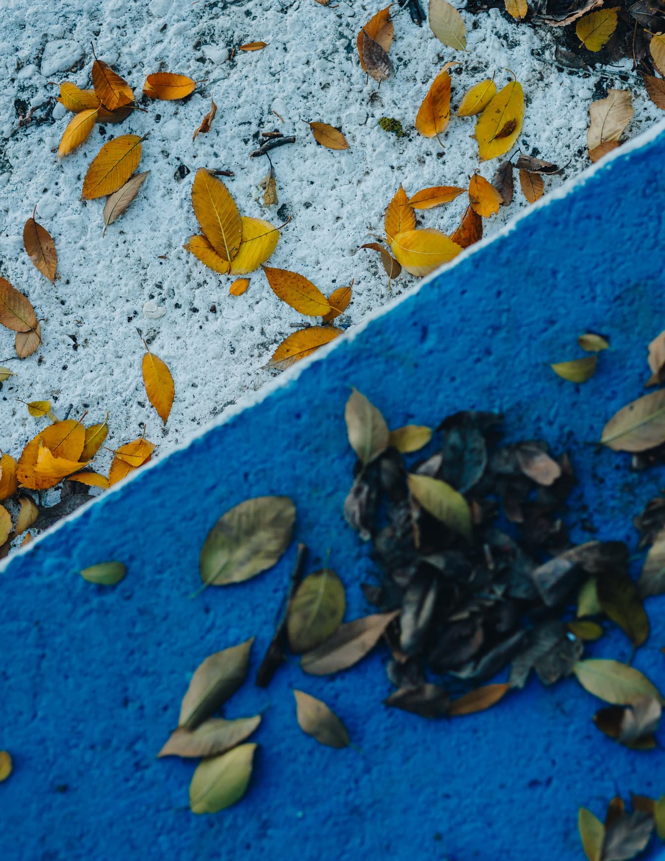 Vernice blu scuro e bianca su scale concreate con foglie gialle
