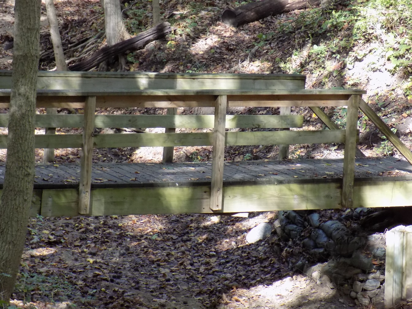 Mały drewniany mostek w lesie nad wyschniętym korytem rzeki