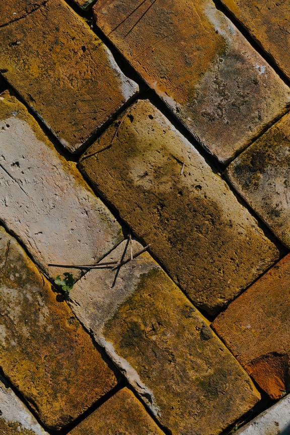 Wet dirty bricks pavement masonry texture