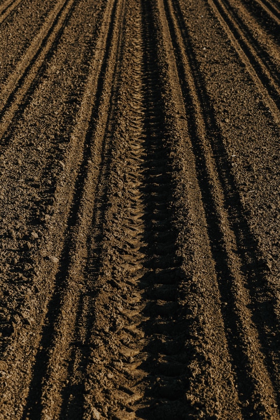 Tracks on earth texture agricultural field