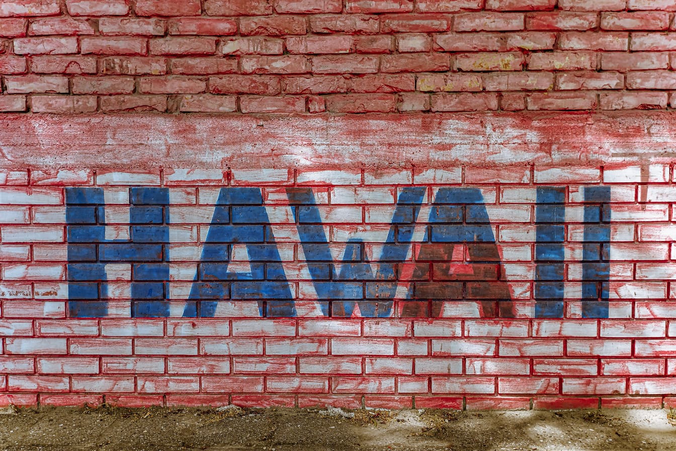 Hawaii text graffiti on dark red brick wall