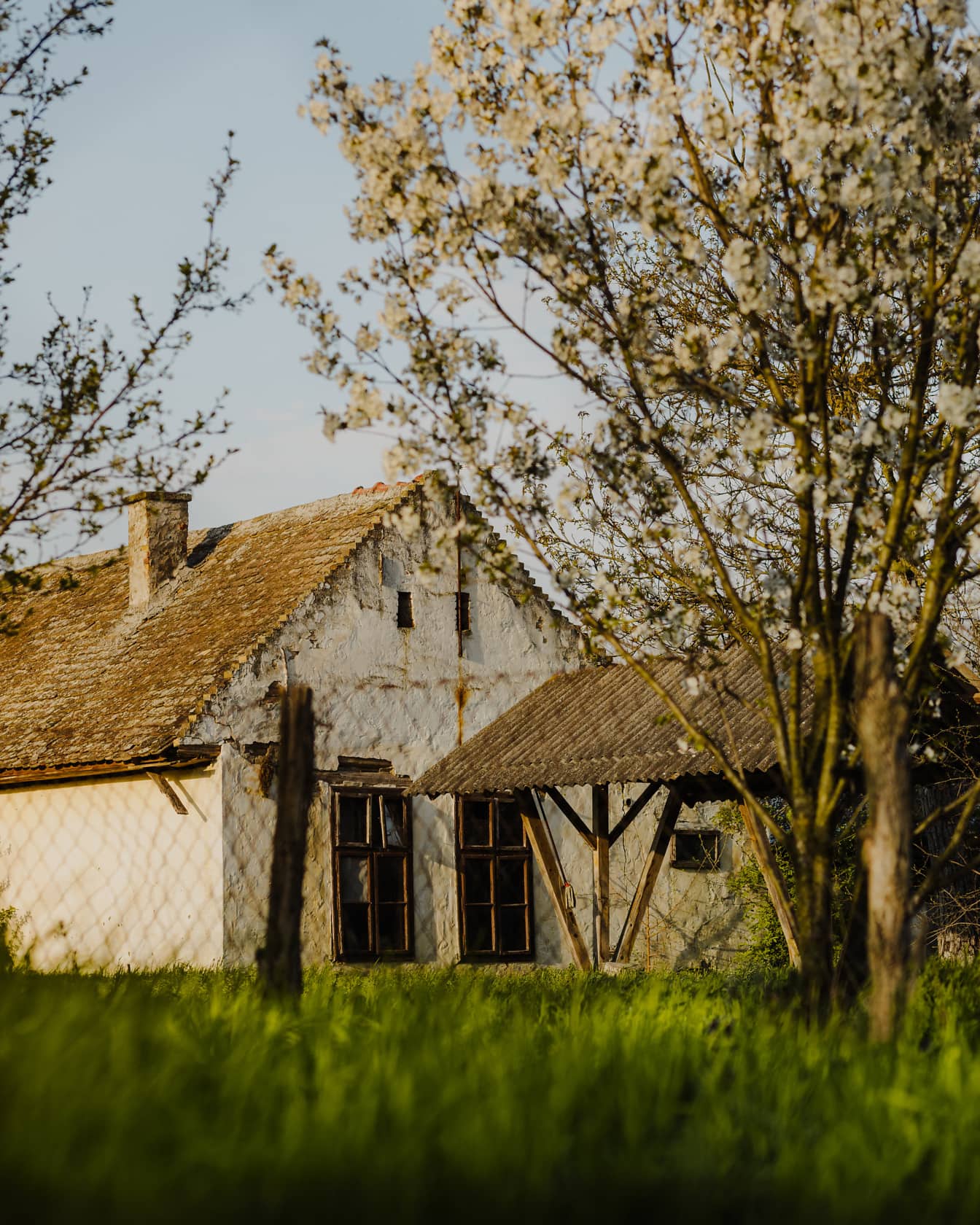 Rumah pertanian desa pedesaan di pedesaan dengan halaman belakang berumput