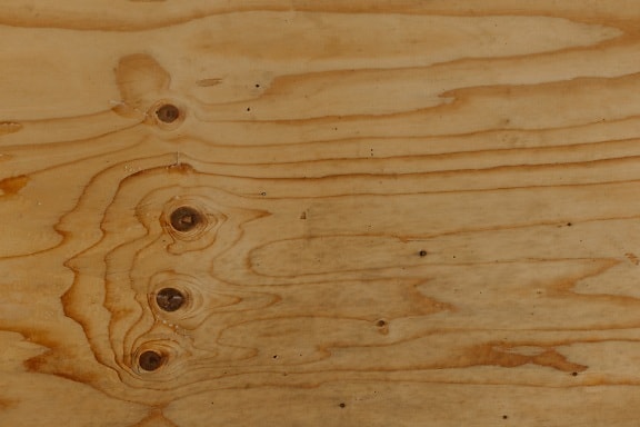 Light brown plank with knot texture close-up