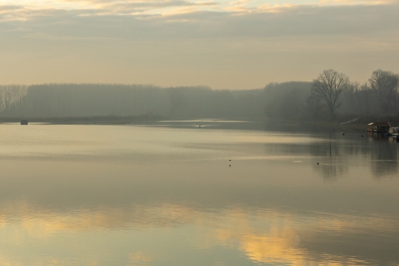 Calm lakeside waterfront in dawn landscape