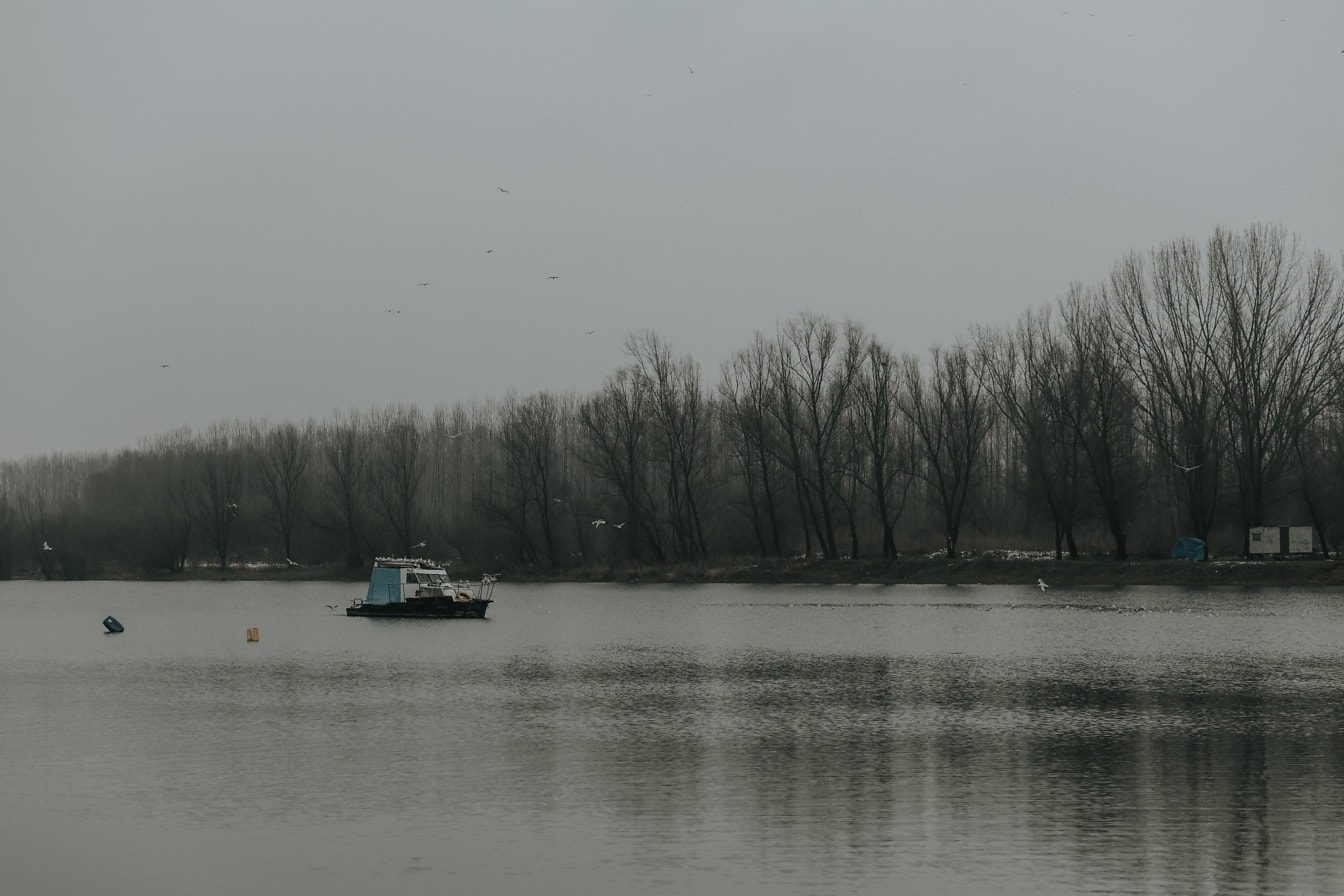 霧の朝、川に浮かぶ小さな漁船