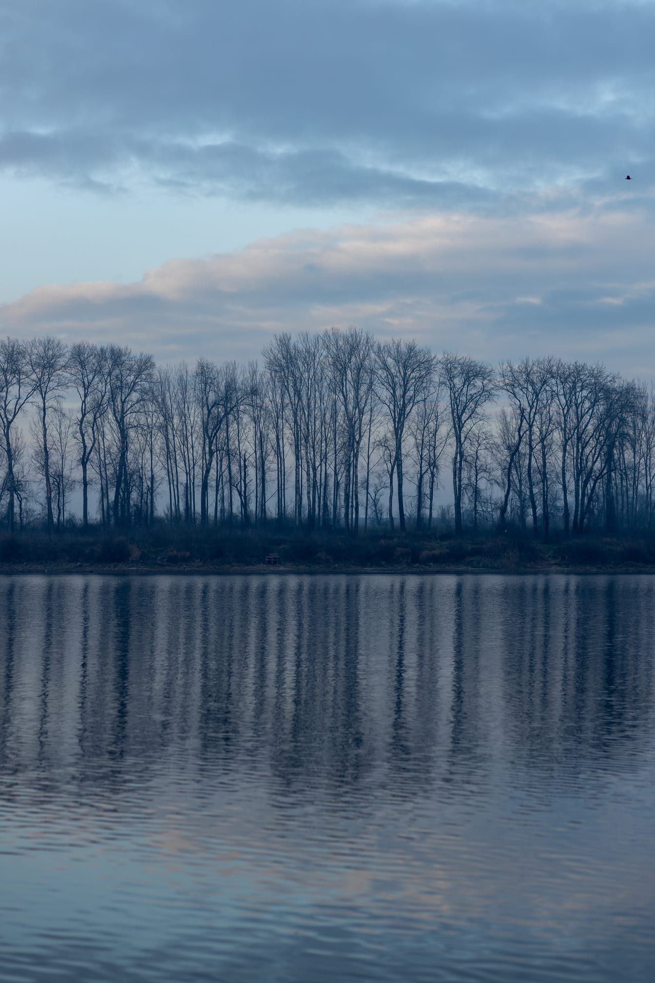 Awan biru tua di atas tepi danau yang tenang saat senja