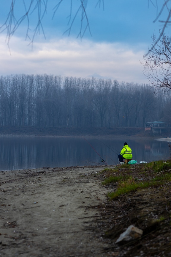 sentado, pescador, orilla del río, chaqueta, amarillo verdoso, paisaje, agua, bosque