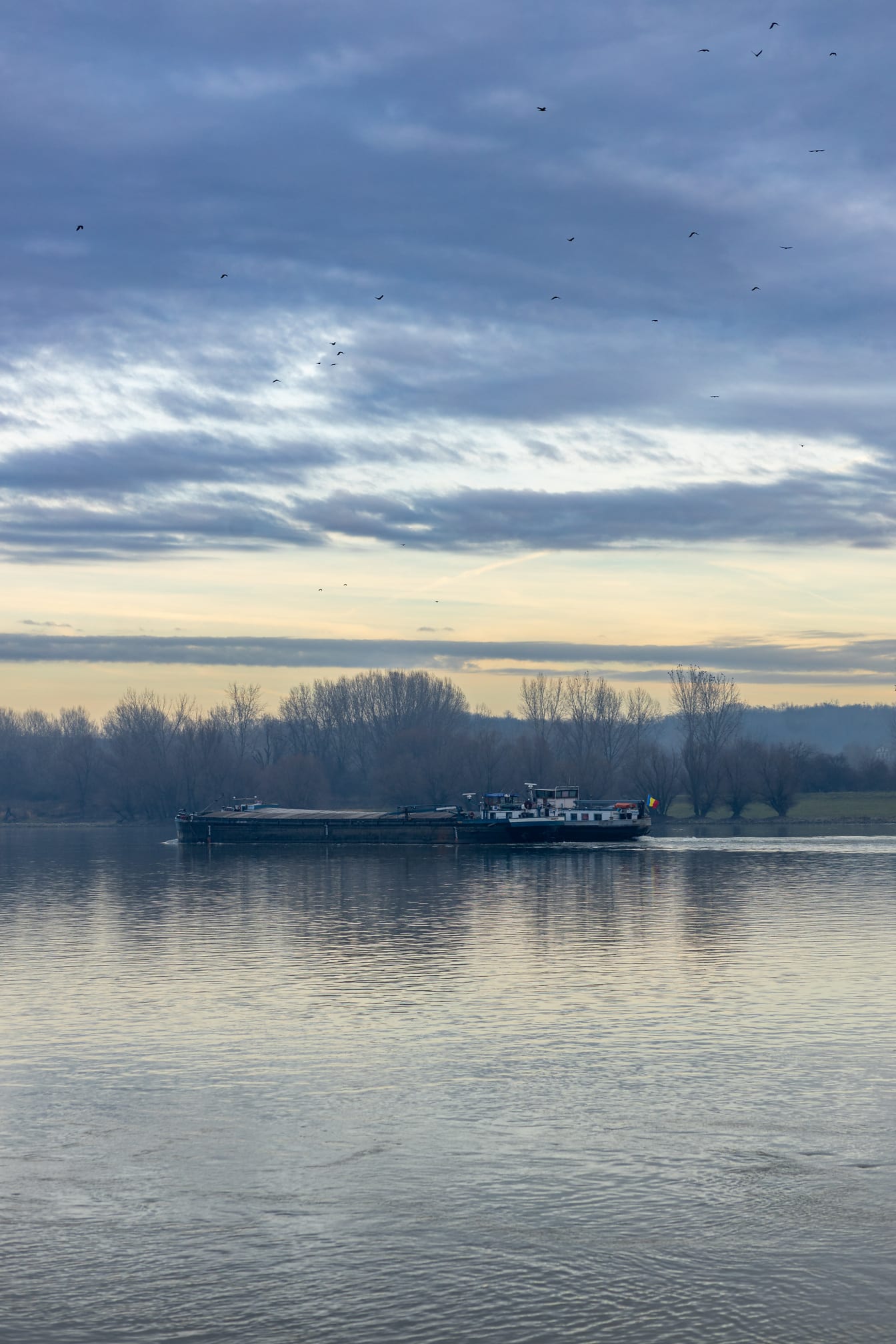 多瑙河上悬挂罗马尼亚国旗的货船