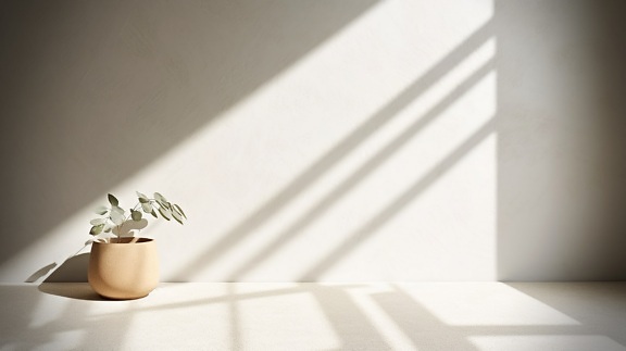 minimalismo, perfeito, bege, vaso de flor, cerâmica, Luz do sol, sombra, moderna