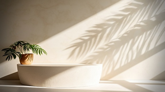 Tropical herb in flowerpot with green leaves makes shadow of  on white wall