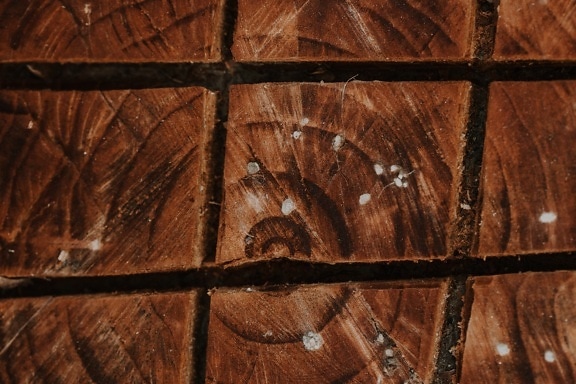 Vertical and horizontal lines on crooss section of tree trunk texture close-up