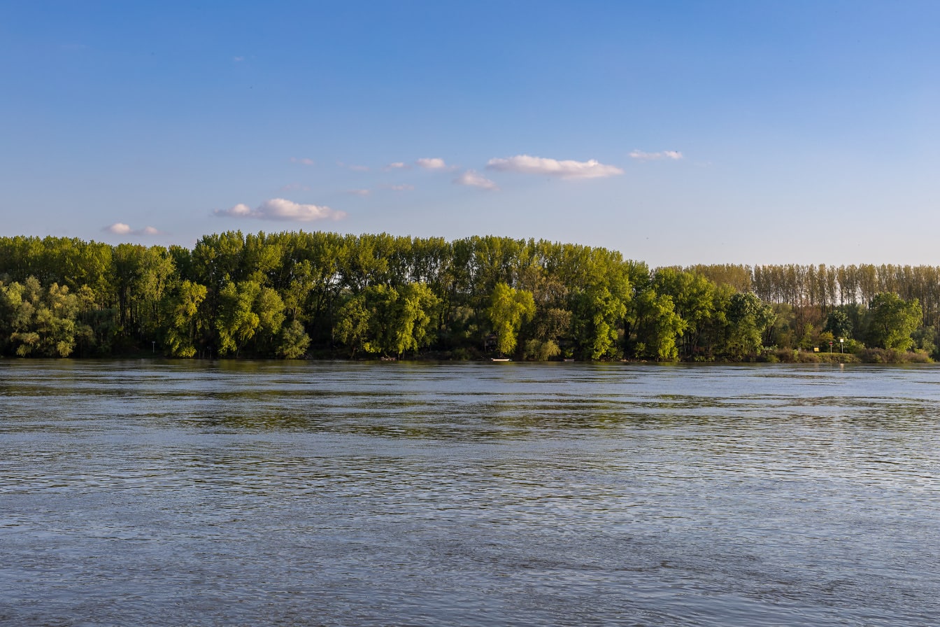 Green trees on riverbank of big Danube river