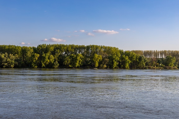 verde, alberi, Riva del fiume, grande, Danubio, fiume, acqua, orizzontale